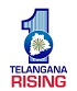 TS POLICE LOGO